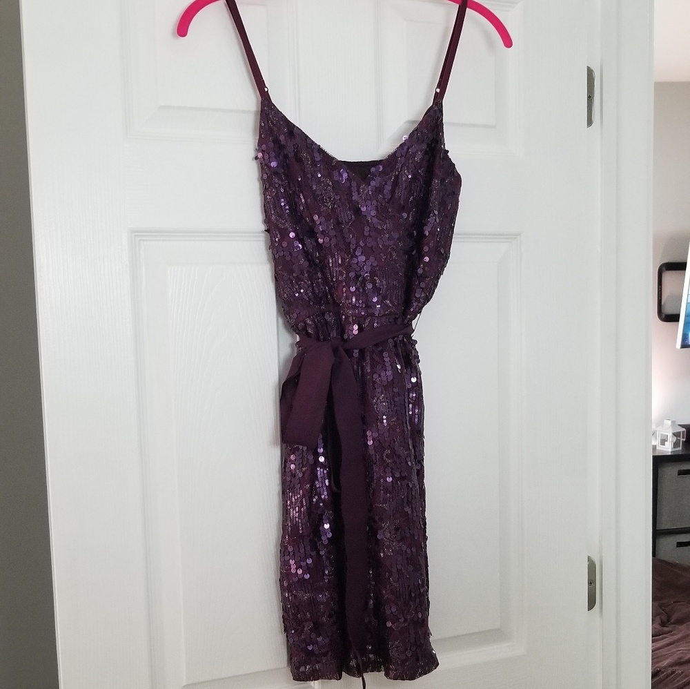 *LIKE NEW* Purple Sequence Express Dress